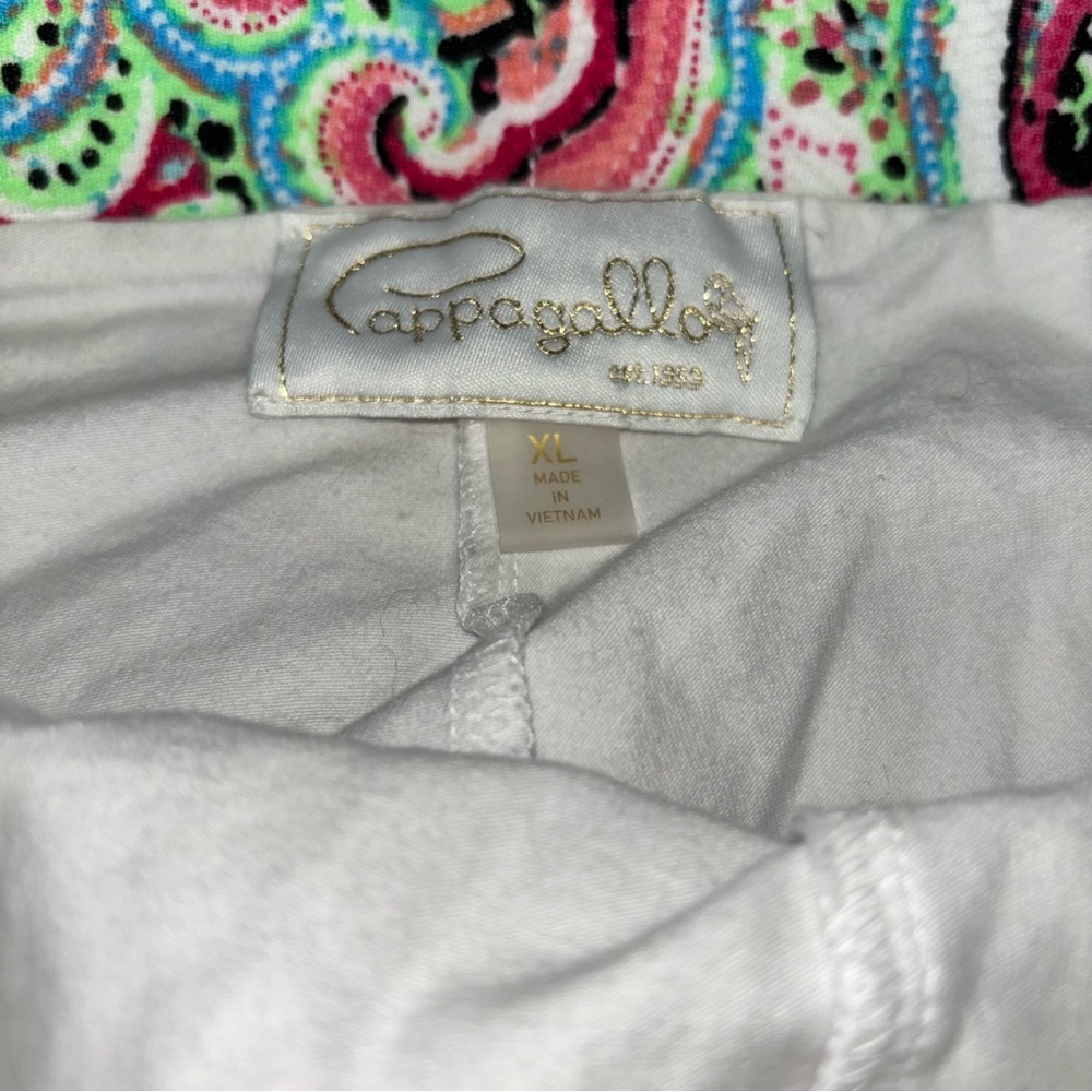 EUC Pappagallo Bright Paisley Skort Size XL - Picture 4 of 6
